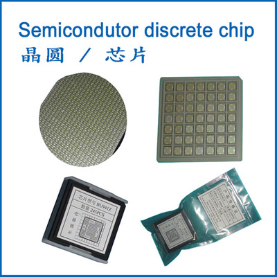Semiconductor Wafer/Chip